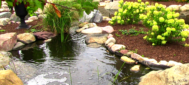 How Much Does a New Pond Cost?