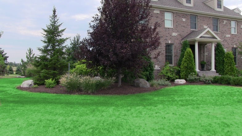 Greener lawn