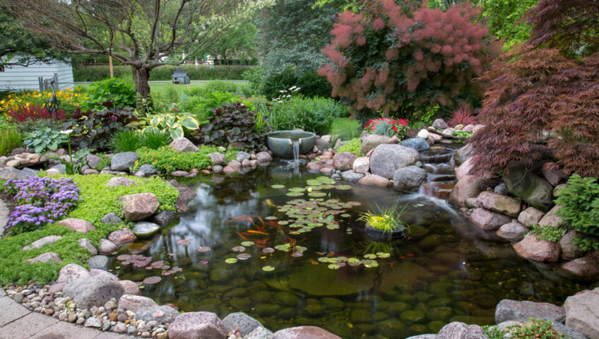 Ecosystem Pond - BLC Yardworks Yorkville, IL