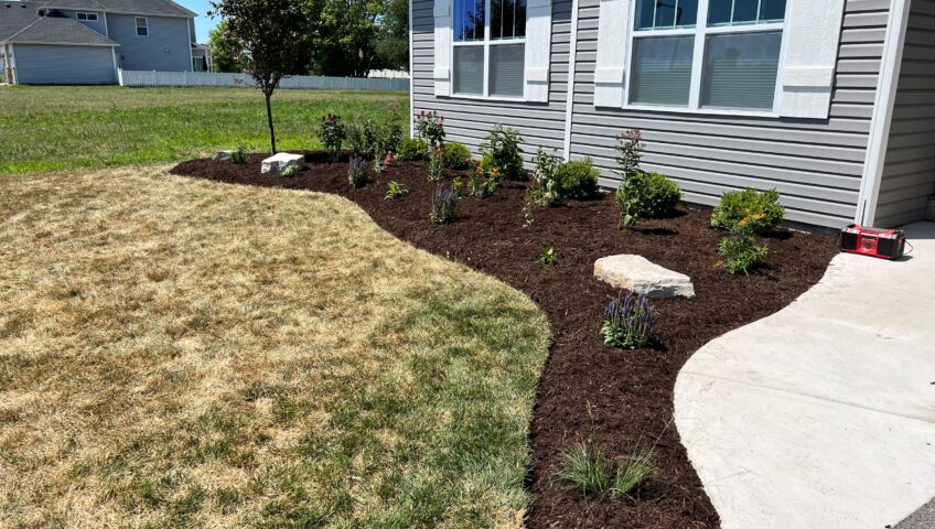 Mulch Planting Tree Walk Way - BLC Yardworks Yorkville, IL